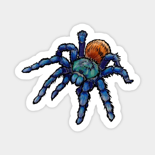 Greenbottle Blue Tarantula with Black Outline Sticker by RJKpoyp